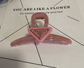 Claw Clip (Choose Color)